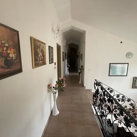 Hotel Larin 3*