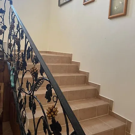 Hotel Larin